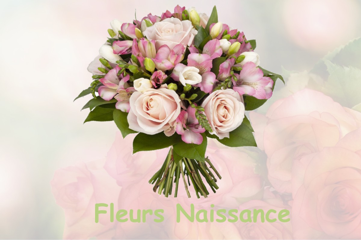 fleurs naissance BASTENNES