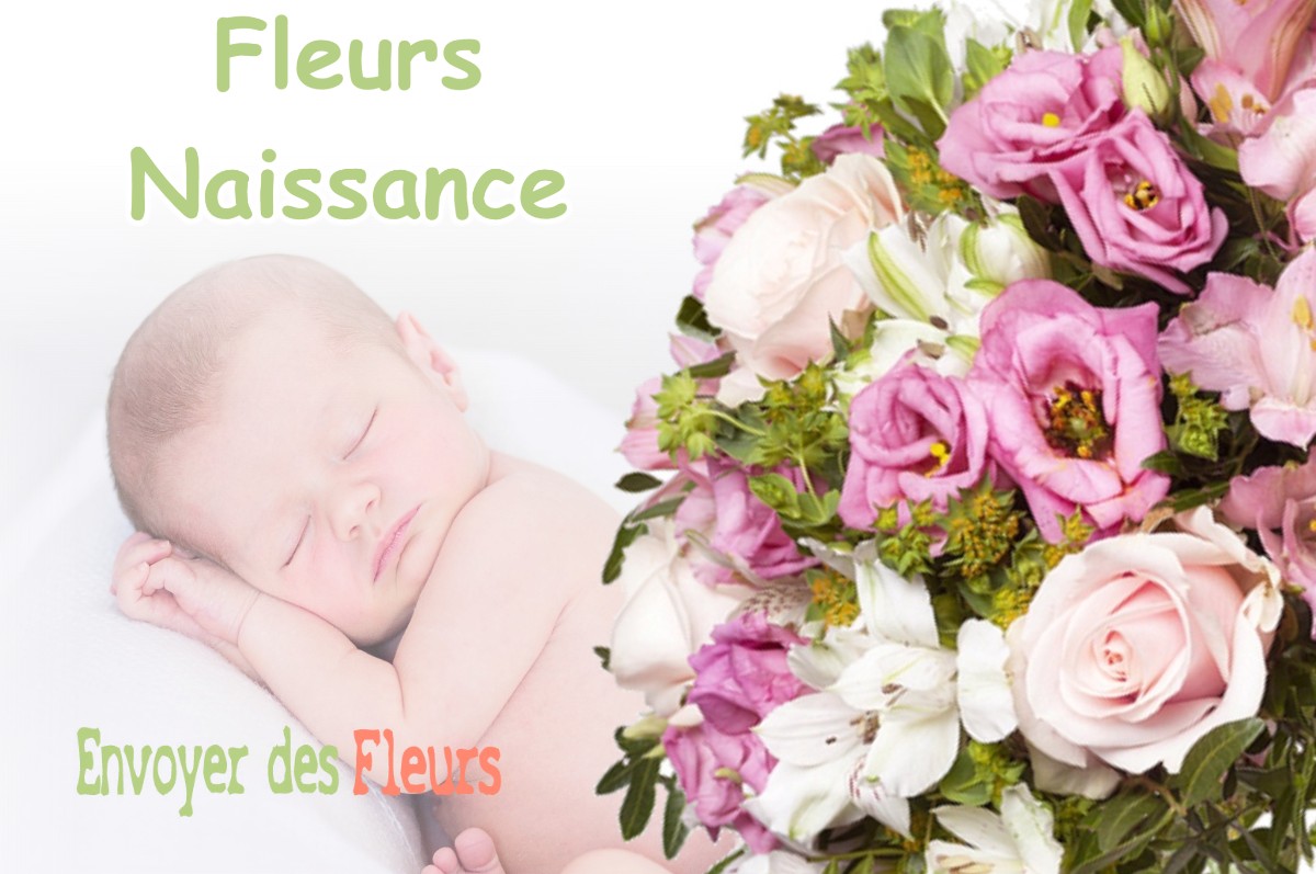 lIVRAISON FLEURS NAISSANCE à BASTENNES